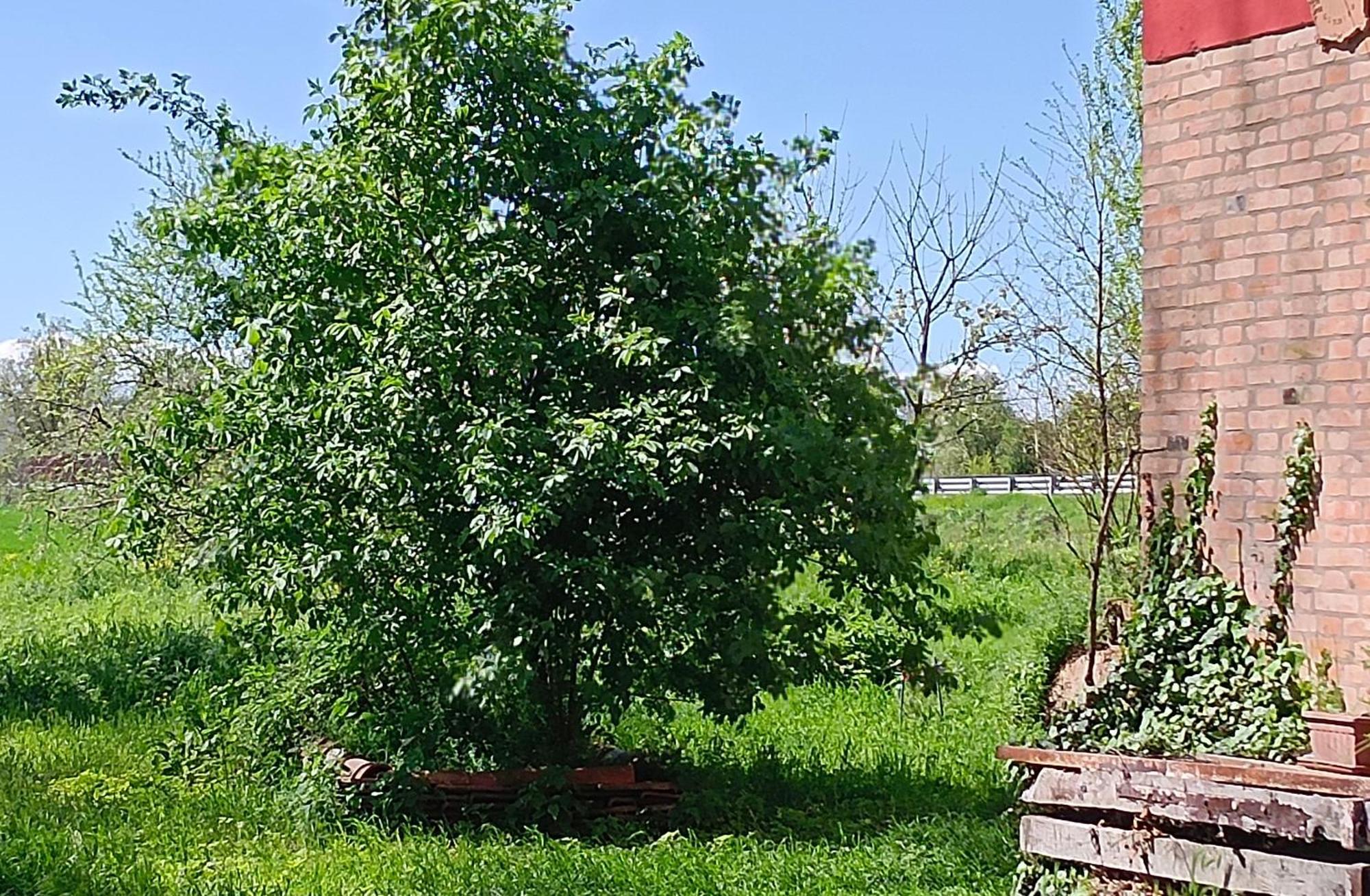 Bed & Breakfast La Maison Rouge Crespellano