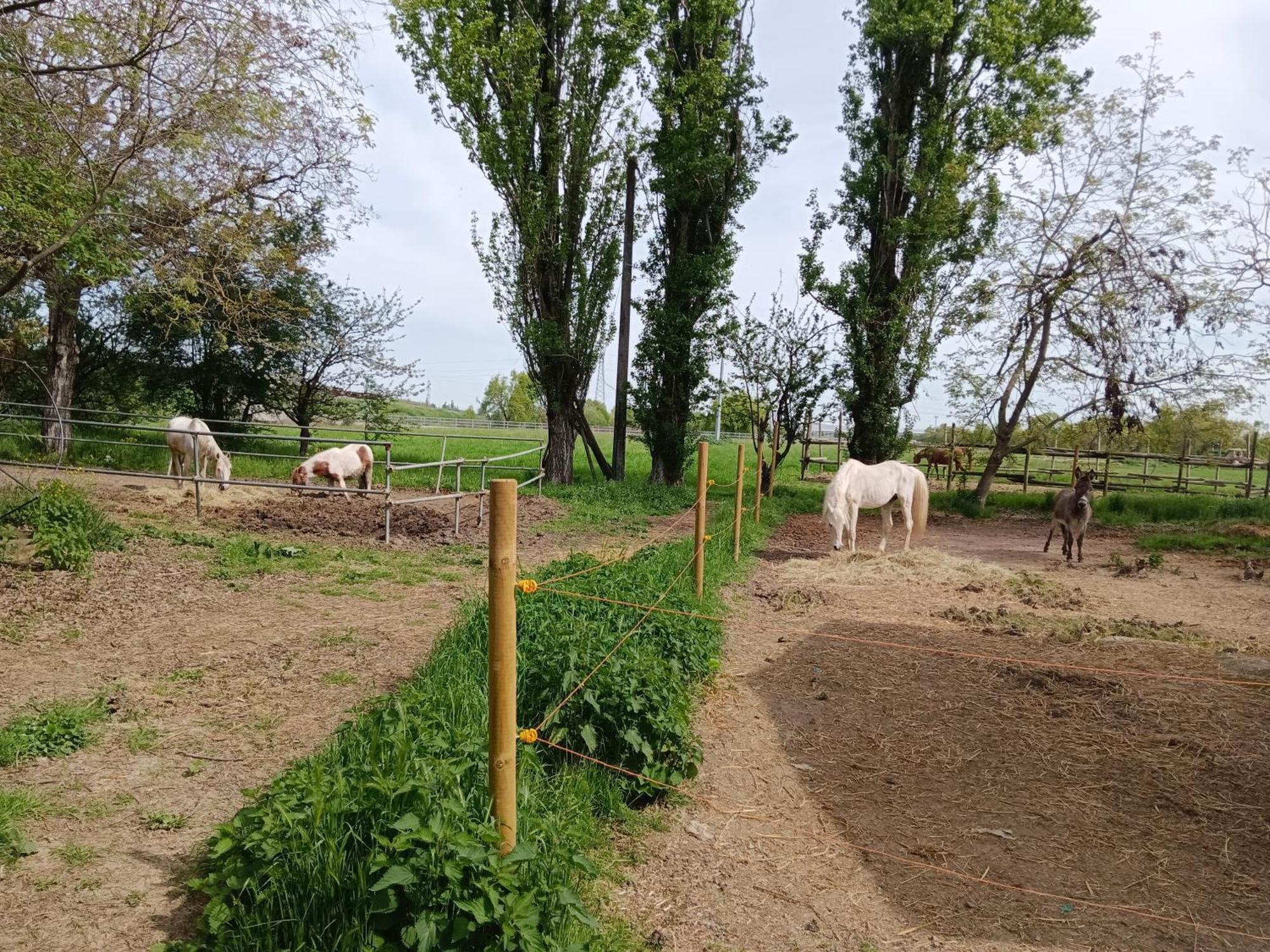 Bed & Breakfast La Maison Rouge